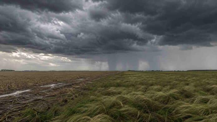 Tormenta con cortina de lluvia y chaparrones sobre un campo productivo de la región pampeana.