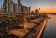 La soja lideró el mercado físico de Rosario en la víspera del feriado Puerto cerealero sobre el río Paraná en Rosario, con silos y cinta transportadora cargando granos en un buque al atardecer.