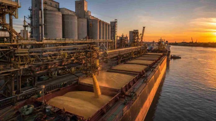 Puerto cerealero sobre el río Paraná en Rosario, con silos y cinta transportadora cargando granos en un buque al atardecer.