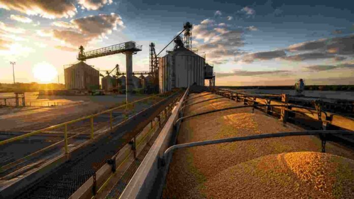 Terminal portuaria de granos con silos, cintas transportadoras y cereal a granel durante la carga para exportación al atardecer.