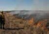 Incendios rurales: la técnica que puede reducir hasta 72% su severidad Brigadistas supervisan una quema prescripta de baja intensidad en un pastizal seco para prevenir incendios rurales.