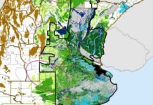Complica el exceso de agua la siembra fina y retrasa la cosecha de maíz Mapa de reservas de agua en el suelo en la región triguera argentina, con zonas de humedad adecuada, excesos hídricos y áreas productivas destacadas.