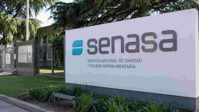 senasa-proteccion-vegetal-normativa-ruralnet Sede institucional del SENASA, organismo nacional encargado de la sanidad agroalimentaria y la protección vegetal en Argentina.