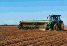 La siembra de trigo entra en su tramo final con 100.000 hectáreas aún en duda Tractor con sembradora trabajando en un lote agrícola durante la siembra de trigo, con suelo preparado y cielo despejado.