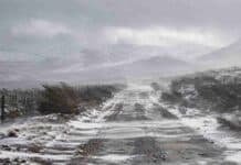 Cinco provincias bajo alerta: hasta 60 cm de nieve y ráfagas de 90 km/h Temporal invernal con nieve, lluvia y fuertes ráfagas sobre un camino rural de la cordillera de Neuquén.