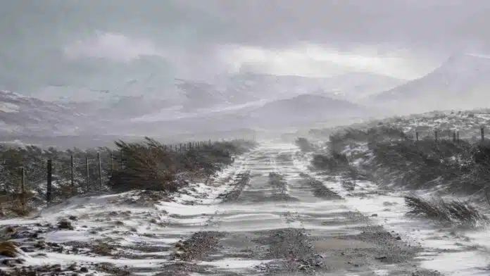 Temporal invernal con nieve, lluvia y fuertes ráfagas sobre un camino rural de la cordillera de Neuquén.
