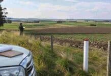 Sin tope de hectáreas y sin cuota por nacionalidad: así quedaría la compra de tierras rurales si avanza la reforma en el Senado Vista de campos productivos delimitados con alambrado y mojones, con un productor inspeccionando la tierra, en una imagen que ilustra la compraventa de tierras rurales en Argentina.