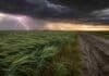 Lluvias y tormentas avanzarán sobre el Litoral y Buenos Aires, con hasta 34 °C en el norte Campo agrícola de la región pampeana con cultivo de invierno y camino rural embarrado bajo un frente de tormenta, con nubes oscuras, lluvia a la distancia y un relámpago intenso en el cielo.