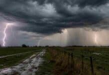 El SMN declaró alerta naranja por tormentas en Entre Ríos y Corrientes: granizo y hasta 70 mm de lluvia Tormenta intensa en medio de un campo, con cielo oscuro, rayos visibles, fuerte cortina de lluvia y camino rural embarrado.