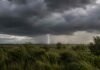 De la mejora general a las primeras tormentas del litoral: el pronóstico agropecuario para el 14 al 16 de julio Nubes de tormenta oscuras sobre una llanura del litoral argentino, con lluvia, vegetación en primer plano y un relámpago visible en el horizonte.