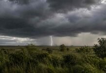 De la mejora general a las primeras tormentas del litoral: el pronóstico agropecuario para el 14 al 16 de julio Nubes de tormenta oscuras sobre una llanura del litoral argentino, con lluvia, vegetación en primer plano y un relámpago visible en el horizonte.
