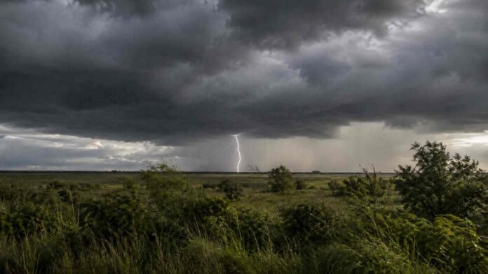 Nubes de tormenta oscuras sobre una llanura del litoral argentino, con lluvia, vegetación en primer plano y un relámpago visible en el horizonte.