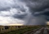 Llegan lluvias y tormentas a la Pampa Húmeda: qué zonas del campo estarán bajo inestabilidad Rodeo de vacas Holando Argentino con terneros en un campo de la Pampa Húmeda bajo un cielo de tormenta y lluvias intensas.