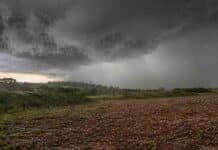 El SMN alerta a cuatro provincias por tormentas severas y nevadas de hasta 50 cm Tormenta severa con lluvia intensa, granizo, fuertes ráfagas y actividad eléctrica sobre un campo de Misiones.