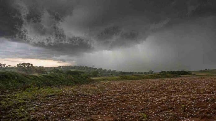 Tormenta severa con lluvia intensa, granizo, fuertes ráfagas y actividad eléctrica sobre un campo de Misiones.