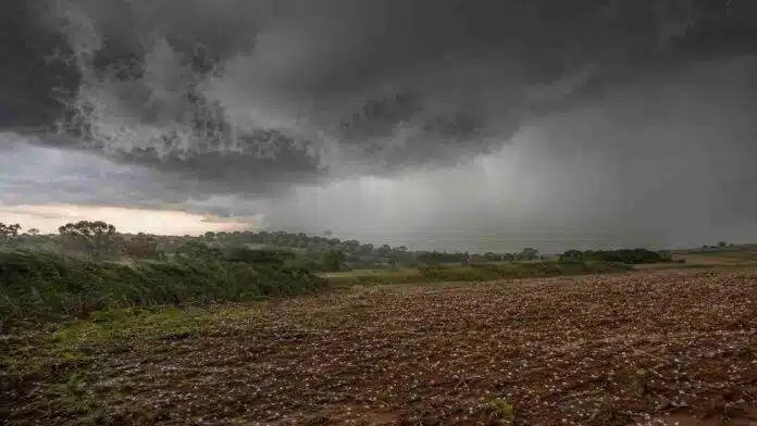 Tormenta severa con lluvia intensa, granizo, fuertes ráfagas y actividad eléctrica sobre un campo de Misiones.