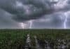 Se activan tormentas localmente fuertes en el centro y avanza el frío: el pronóstico agro hasta el jueves Tormenta intensa sobre un trigo en encañazón en la Pampa Húmeda, con lluvia fuerte, charcos y potentes relámpagos.