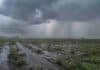 Persisten cinco fenómenos en nueve provincias: las zonas bajo alerta Tormentas y lluvias intensas avanzan sobre un campo productivo anegado de Corrientes.