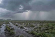 Persisten cinco fenómenos en nueve provincias: las zonas bajo alerta Tormentas y lluvias intensas avanzan sobre un campo productivo anegado de Corrientes.