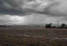 El viernes concentra las tormentas: qué cambia durante el fin de semana Frente de tormenta con lluvias sobre un campo de la región pampeana y un molino rural.