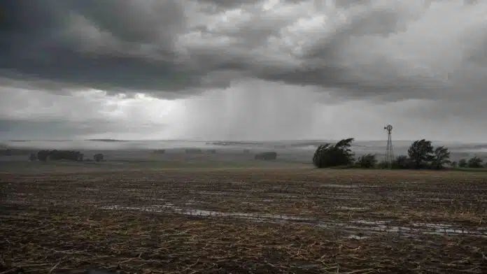 Frente de tormenta con lluvias sobre un campo de la región pampeana y un molino rural.