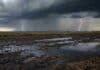 Lluvias y tormentas avanzan sobre la región Pampeana y el norte: el pronóstico hasta el sábado Tormenta fuerte con relámpagos sobre un campo embarrado y con charcos en la región Pampeana.