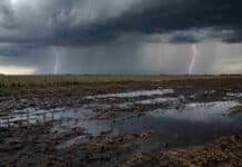 Lluvias y tormentas avanzan sobre la región Pampeana y el norte: el pronóstico hasta el sábado Tormenta fuerte con relámpagos sobre un campo embarrado y con charcos en la región Pampeana.