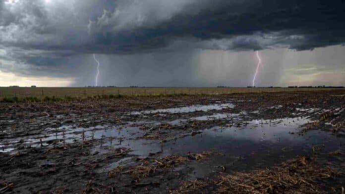 Tormenta fuerte con relámpagos sobre un campo embarrado y con charcos en la región Pampeana.
