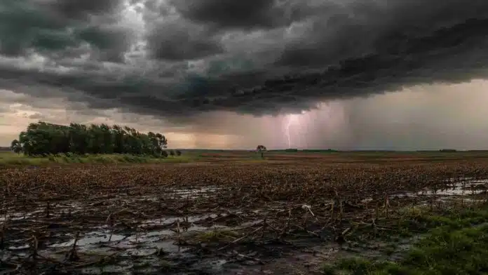 tormentas-severas-lluvias-campo-ruralnet Tormenta severa con lluvias intensas y un relámpago avanza sobre un campo del Litoral argentino.
