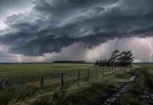 Tormentas severas, viento y nieve ponen en alerta a 18 provincias y CABA Tormenta severa avanza sobre un campo de la Pampa Húmeda, con lluvias intensas, fuertes ráfagas y actividad eléctrica.