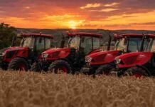 Vendió 1.500 tractores, pero trasladará su producción a India Tractores Zetor en un campo de trigo al atardecer, con cielo dorado y paisaje rural de fondo.