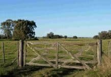 La reforma de la Ley de Tierras volvió a quedar en suspenso en el Senado Tranquera de madera en un campo argentino bajo un día soleado, con pasturas verdes, alambrado y cielo despejado.