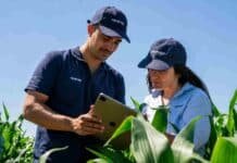 Tropfen cumple diez años y abre una nueva etapa con inteligencia artificial Técnicos de Tropfen analizan datos en una tablet dentro de un lote de maíz durante una jornada de validación tecnológica a campo.