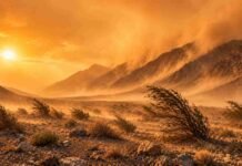 Ráfagas de hasta 120 km/h: alerta por viento fuerte y Zonda en seis provincias Valle precordillerano árido afectado por una intensa tormenta de viento con polvo en suspensión, vegetación doblada por las ráfagas y luz cálida del sol filtrándose entre la bruma en un paisaje típico del oeste argentino.