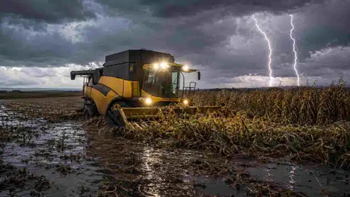 Cosechadora New Holland trabaja en un lote de maíz encharcado, con plantas volcadas y dos fuertes relámpagos durante una tormenta.