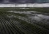 NOAA ve 95% de probabilidad de un El Niño muy fuerte: qué puede pasar con las lluvias Vista aérea de campos agrícolas inundados tras fuertes lluvias en la región pampeana argentina, con cultivos parcialmente cubiertos por agua, cielo de tormenta y un relámpago en el horizonte.