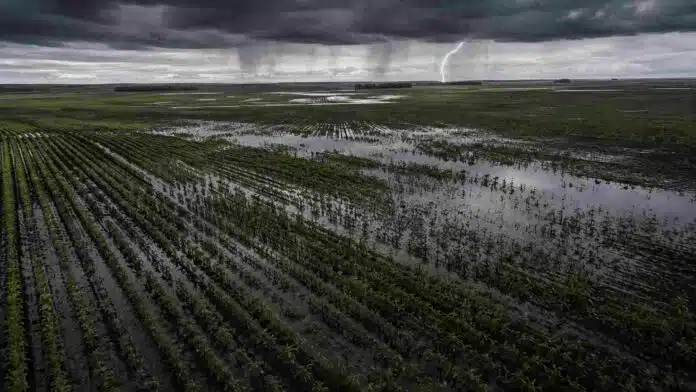 Tormenta sobre campos inundados en la región pampeana Vista aérea de campos agrícolas inundados tras fuertes lluvias en la región pampeana argentina, con cultivos parcialmente cubiertos por agua, cielo de tormenta y un relámpago en el horizonte.