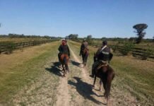 Operativo contra el abigeato: hallaron vacunos preparados para el arreo y otros 13 en Paraguay Patrulla policial a caballo recorriendo una zona rural de Formosa durante un operativo contra el abigeato.