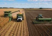 La cosecha récord sostiene la actividad del agro argentino Cosecha de maíz y siembra de trigo en un campo agrícola, en una escena que representa el crecimiento de la actividad de la cadena agropecuaria en Argentina.