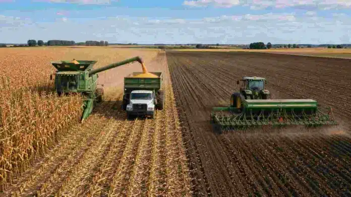 Cosecha de maíz y siembra de trigo en un campo agrícola, en una escena que representa el crecimiento de la actividad de la cadena agropecuaria en Argentina.