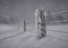 Alerta naranja por nevadas: hasta 120 cm de nieve y vientos de 100 km/h en la cordillera Poste y alambrado rural cubiertos de nieve durante una ventisca, con copos arrastrados por viento fuerte y cielo gris de tormenta.