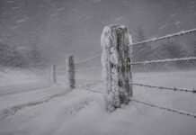 Alerta naranja por nevadas: hasta 120 cm de nieve y vientos de 100 km/h en la cordillera Poste y alambrado rural cubiertos de nieve durante una ventisca, con copos arrastrados por viento fuerte y cielo gris de tormenta.