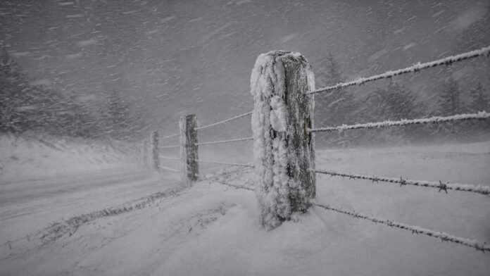 Poste y alambrado rural cubiertos de nieve durante una ventisca, con copos arrastrados por viento fuerte y cielo gris de tormenta.