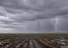 Lanzan dos alertas por lluvias de hasta 50 mm y ráfagas de 70 km/h Lluvias persistentes sobre un campo agrícola del Litoral argentino, con cielo cubierto, cortina de lluvia y un relámpago en el horizonte