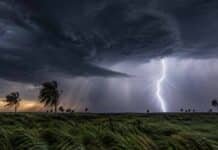 Alerta naranja: tormentas avanzan sobre Formosa y Misiones con ráfagas de más de 90 km/h