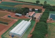 De los cultivos extensivos a la horticultura: Biomagna acelera su expansión con nuevas soluciones biológicas Vista aérea de un centro de investigación y ensayos agrícolas con invernaderos y lotes experimentales.