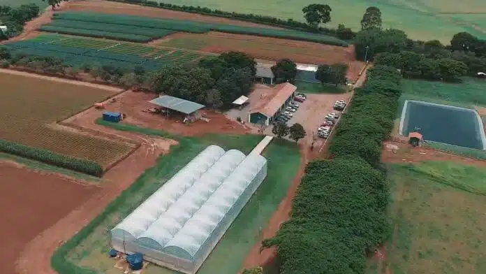 biomagna-centro-investigacion-biologicos Vista aérea de un centro de investigación y ensayos agrícolas con invernaderos y lotes experimentales.