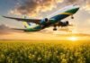 Mientras Brasil lidera el mercado del SAF, la Argentina sigue sin ley de biocombustibles Avión comercial con colores de Brasil despegando sobre un campo de camelina en flor, materia prima utilizada para la producción de combustible sostenible de aviación (SAF).