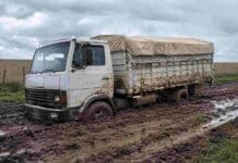 Productores de Colón piden que el municipio abra las cuentas de los caminos rurales Camión encajado en el barro sobre un camino rural de la provincia de Buenos Aires, tras lluvias que dificultan la transitabilidad.