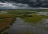 Niño fuerte: cuánto puede llover en la región núcleo Vista aérea de campos de maíz y soja parcialmente inundados en la zona núcleo argentina, con grandes acumulaciones de agua entre los lotes